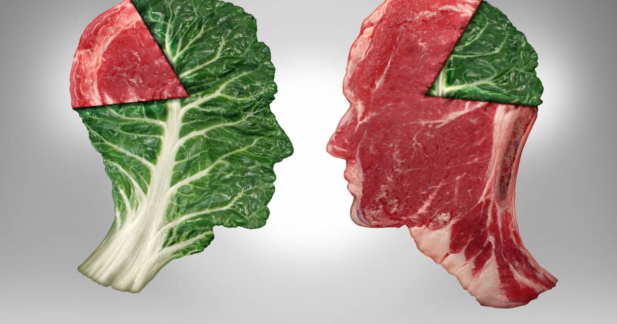 Vegetable Foods vs. Meat Foods | LewisDotMy